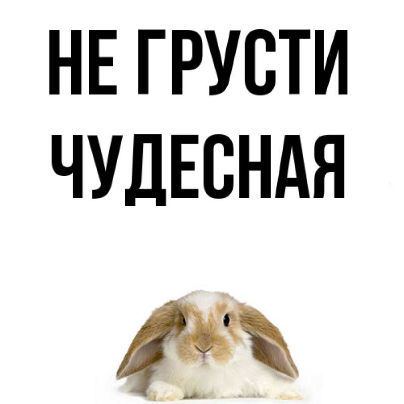 Картинка Не грусти, Чудесная