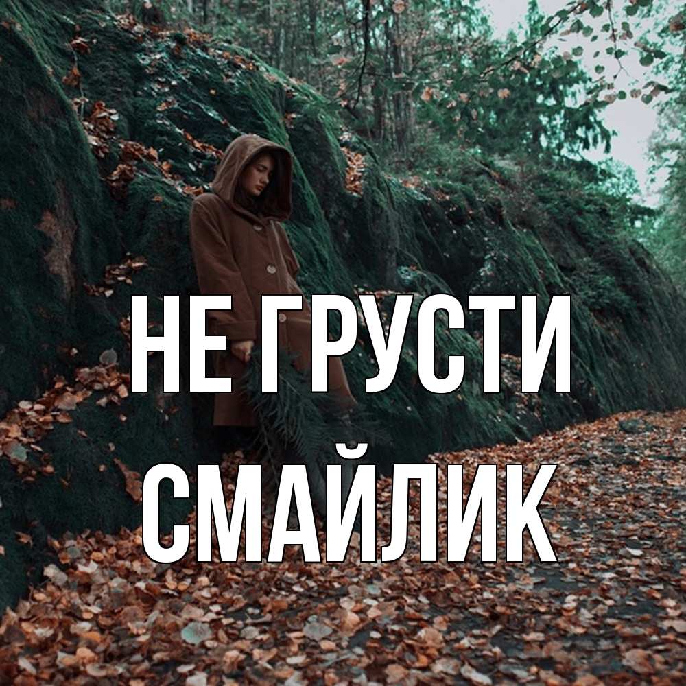 Открытка на каждый день с именем, Смайлик Не грусти осенний лес Прикольная открытка с пожеланием онлайн скачать бесплатно 