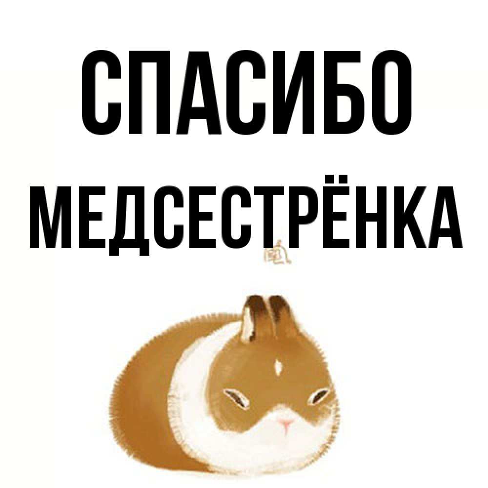 Открытка на каждый день с именем, Медсестрёнка Спасибо коричнево белый домашний питомец Прикольная открытка с пожеланием онлайн скачать бесплатно 