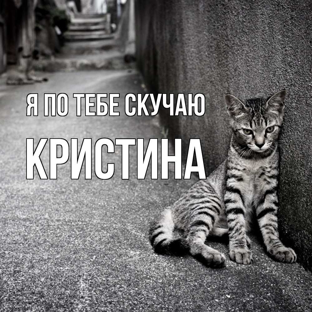 Открытка на каждый день с именем, Кристина Я по тебе скучаю одиноко котику Прикольная открытка с пожеланием онлайн скачать бесплатно 