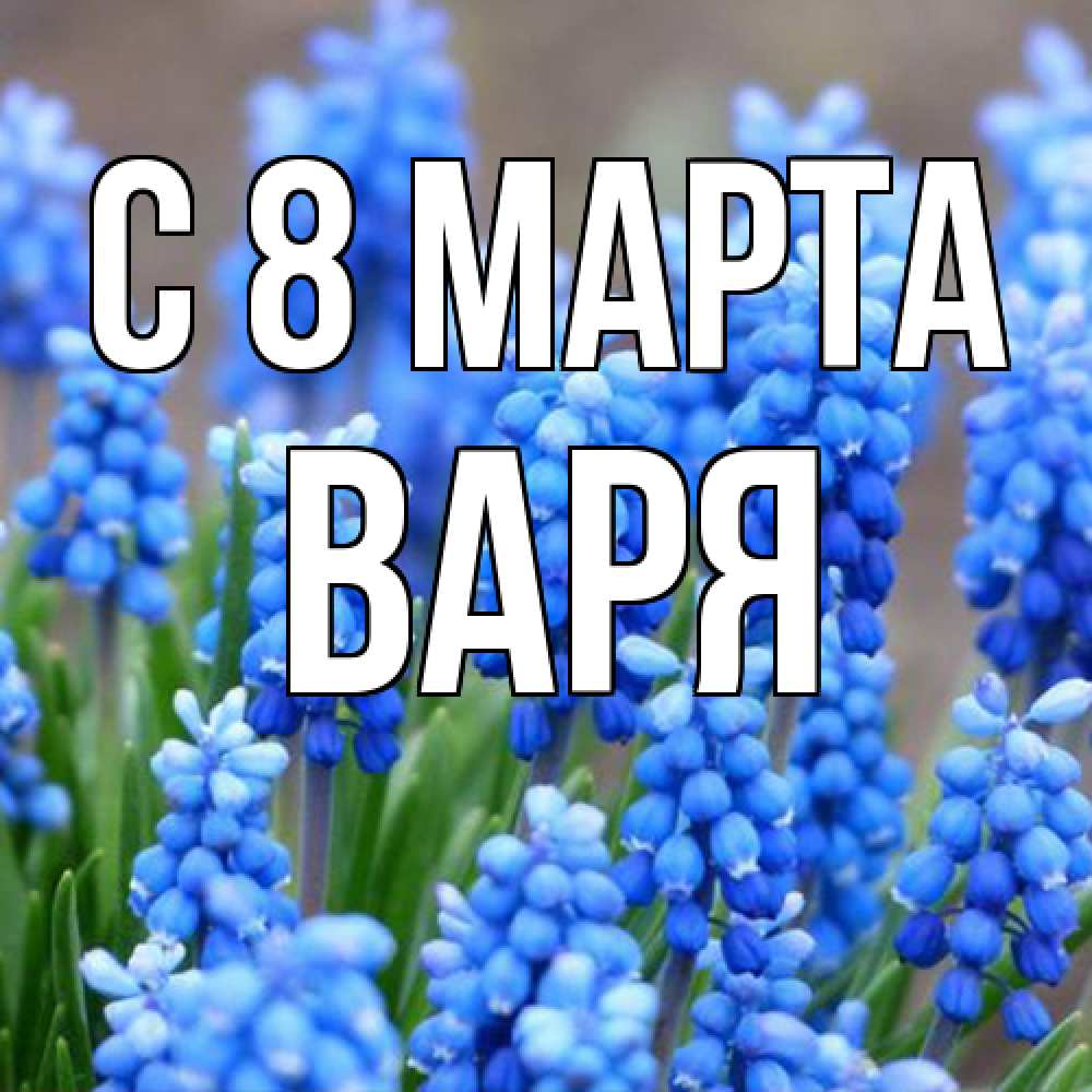 Открытка на каждый день с именем, Варя C 8 МАРТА Поздравительная открытка для женщин с цветами на праздничную дату Прикольная открытка с пожеланием онлайн скачать бесплатно 