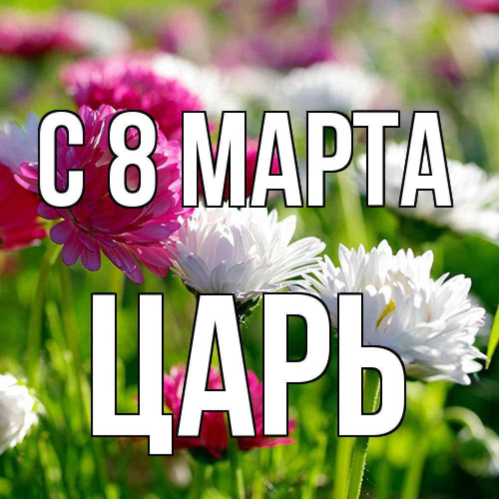 Открытка на каждый день с именем, Царь C 8 МАРТА международный женский день 1 Прикольная открытка с пожеланием онлайн скачать бесплатно 