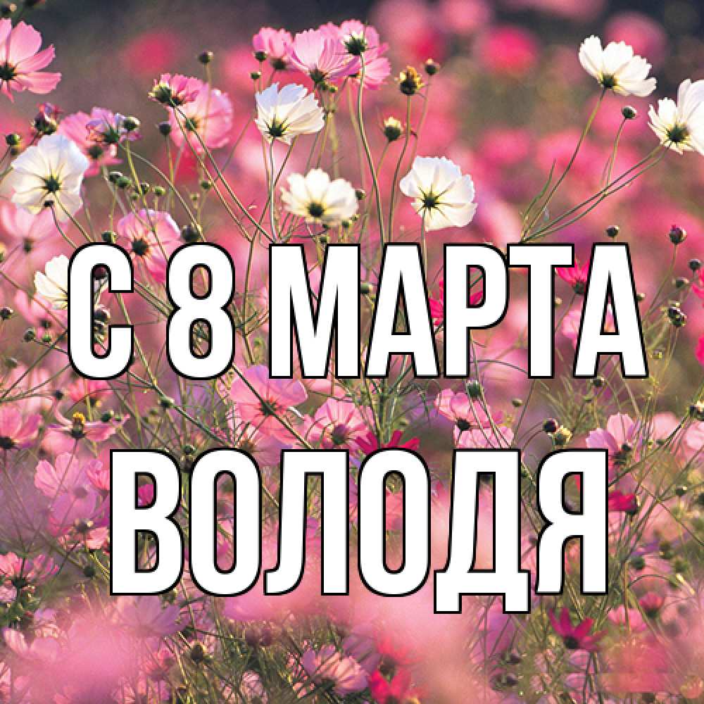 Открытка на каждый день с именем, Володя C 8 МАРТА красиво 1 Прикольная открытка с пожеланием онлайн скачать бесплатно 