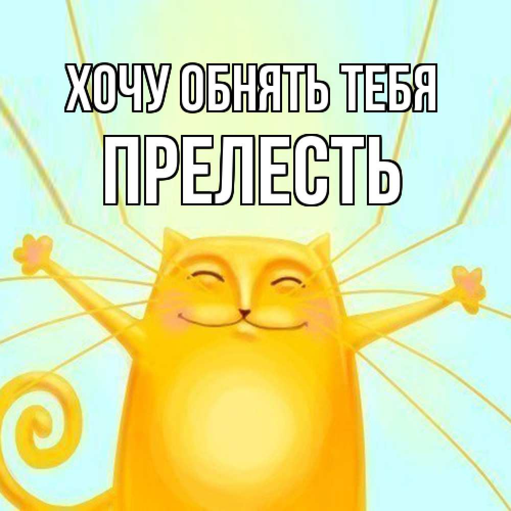 Открытка на каждый день с именем, Пpелесть Хочу обнять тебя солнечный обнимашечный кот Прикольная открытка с пожеланием онлайн скачать бесплатно 