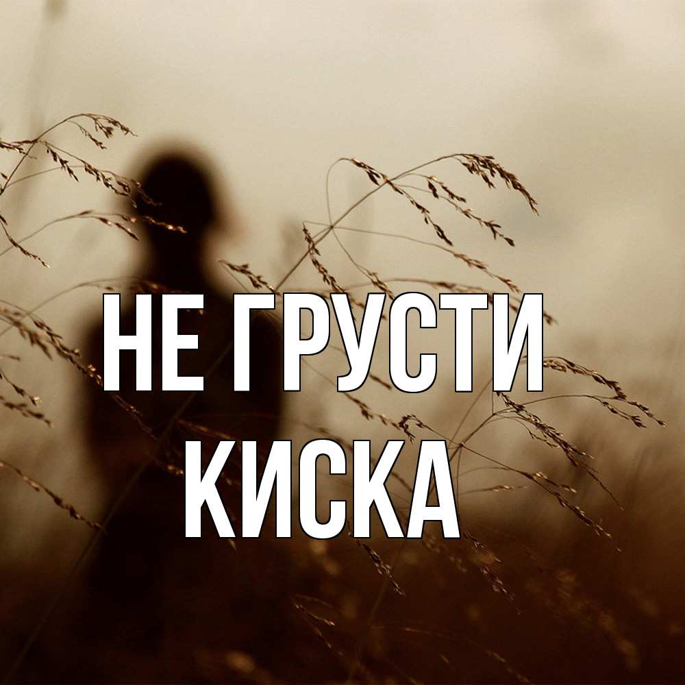 Открытка на каждый день с именем, Киска Не грусти грусть Прикольная открытка с пожеланием онлайн скачать бесплатно 