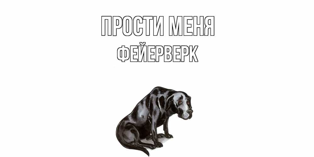 Открытка на каждый день с именем, Фейерверк Прости меня грустная собака на открытке с подписью прости меня Прикольная открытка с пожеланием онлайн скачать бесплатно 