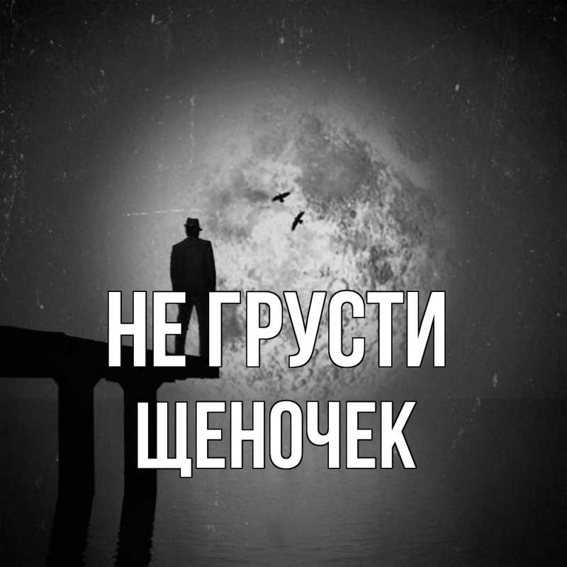 Картинка Не грусти, Щеночек