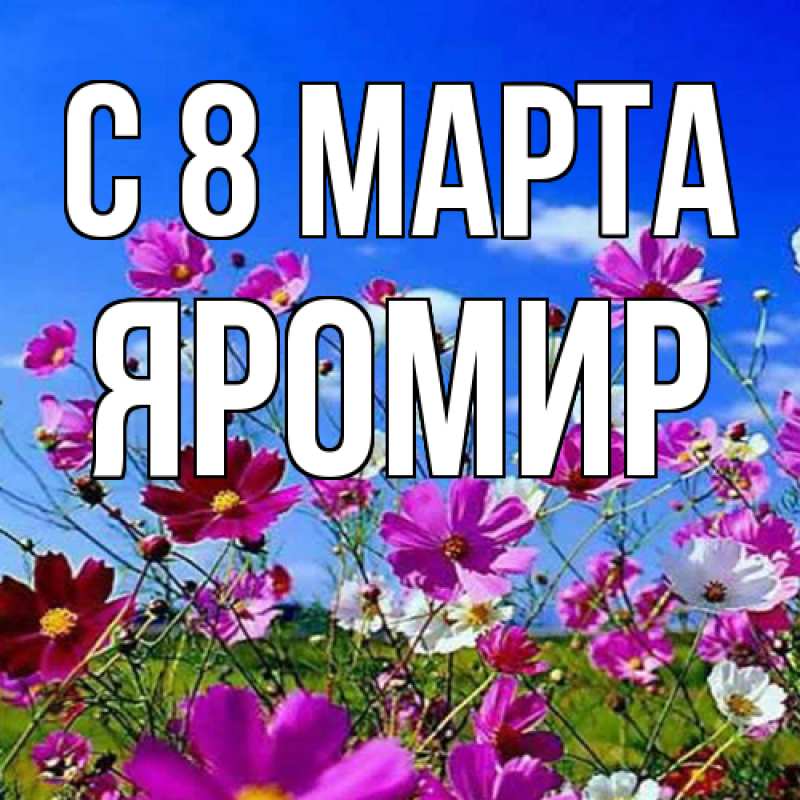 Картинка C 8 МАРТА, Яромир