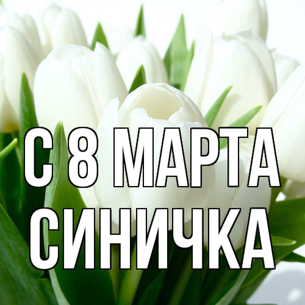 Открытка на каждый день с именем, Синичка C 8 МАРТА цветы Прикольная открытка с пожеланием онлайн скачать бесплатно 