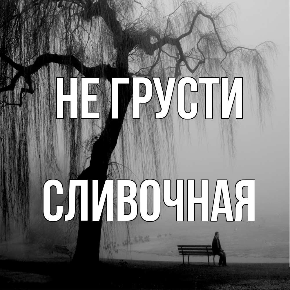 Открытка на каждый день с именем, Сливочная Не грусти висящие ветки дерева и лавочка под деревом Прикольная открытка с пожеланием онлайн скачать бесплатно 