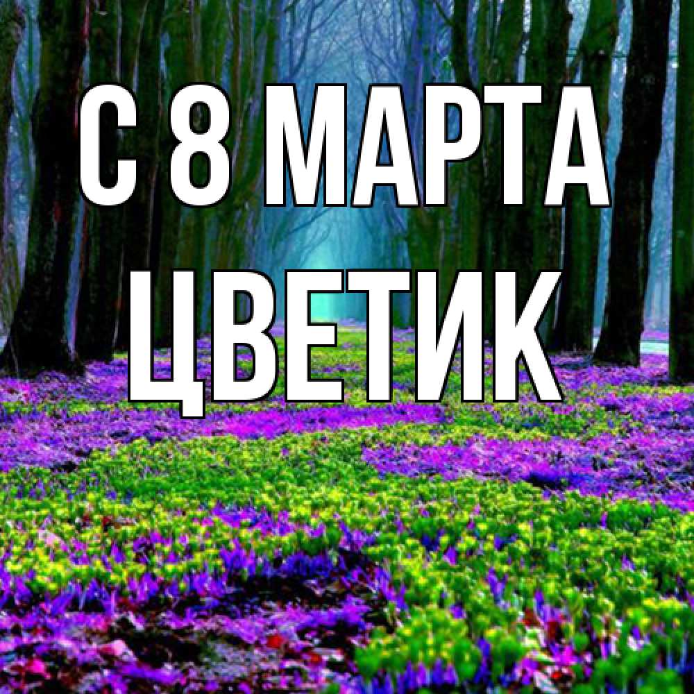 Открытка на каждый день с именем, цветик C 8 МАРТА фиолетовые цветы в лесу 1 Прикольная открытка с пожеланием онлайн скачать бесплатно 