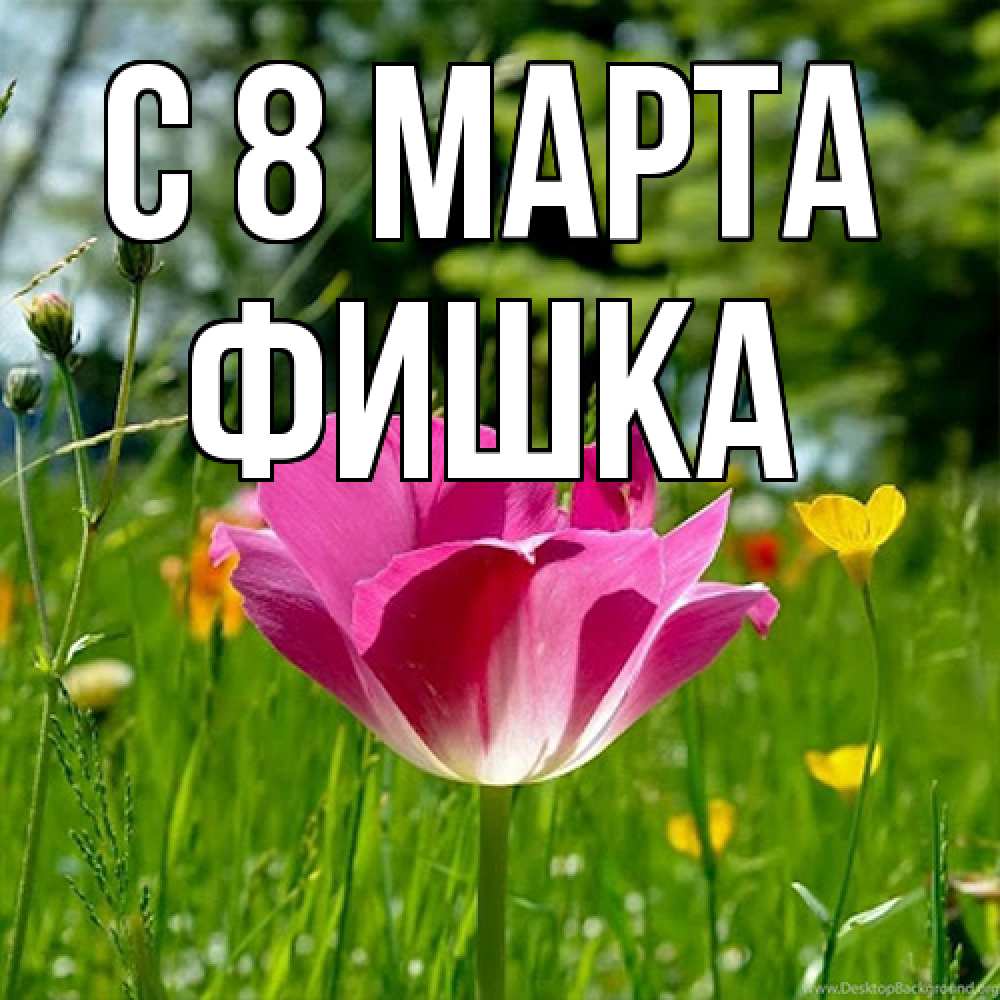 Открытка на каждый день с именем, Фишка C 8 МАРТА полевые цветы Прикольная открытка с пожеланием онлайн скачать бесплатно 