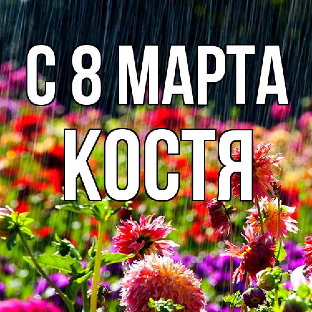 Открытка на каждый день с именем, Костя C 8 МАРТА цветы под дождиком к международному женскому дню Прикольная открытка с пожеланием онлайн скачать бесплатно 