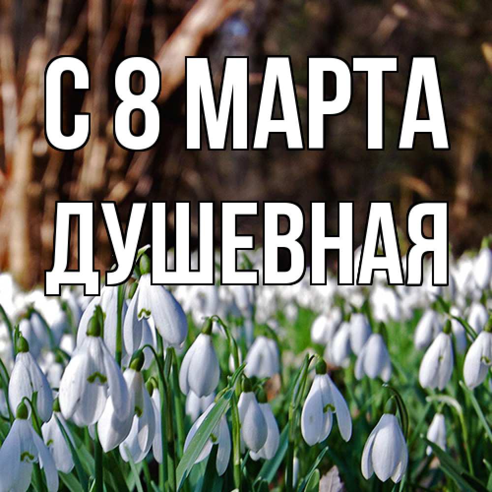 Открытка на каждый день с именем, Душевная C 8 МАРТА с подснежниками 1 Прикольная открытка с пожеланием онлайн скачать бесплатно 