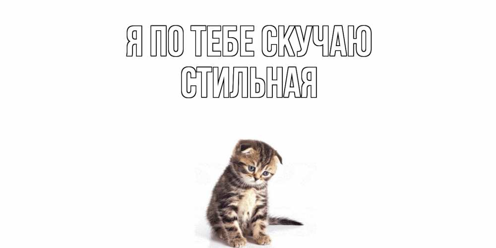 Открытка на каждый день с именем, Стильная Я по тебе скучаю кот Прикольная открытка с пожеланием онлайн скачать бесплатно 