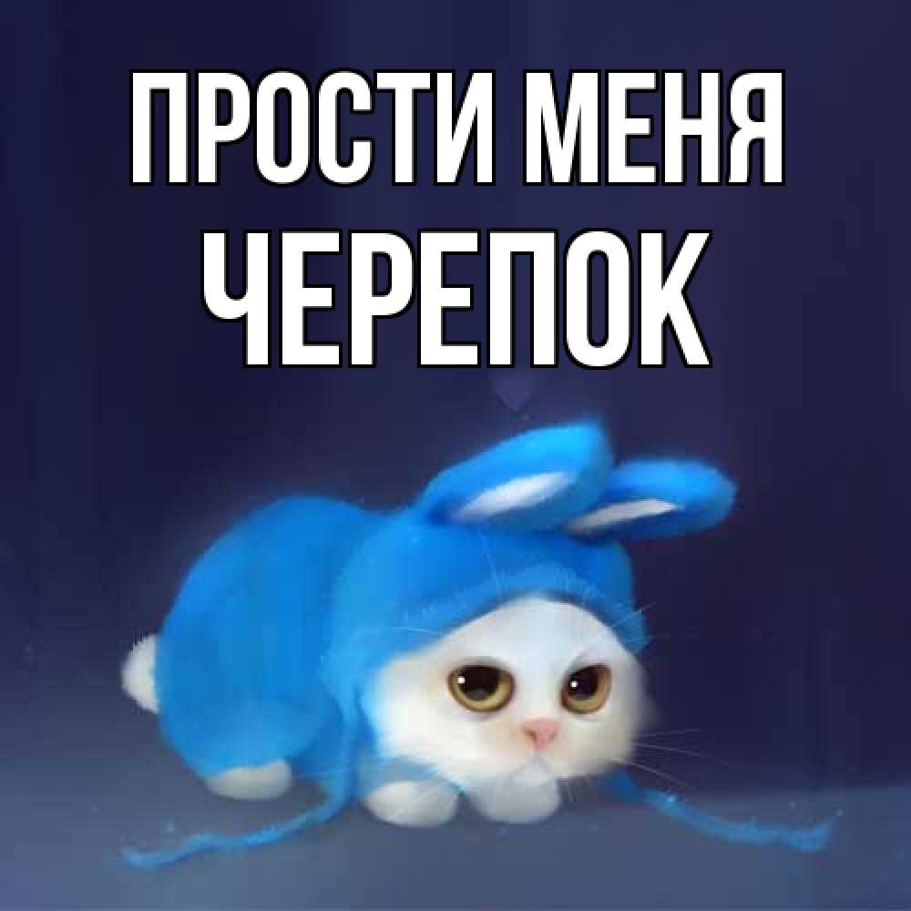 Открытка на каждый день с именем, Черепок Прости меня невинный котозай просит прощения Прикольная открытка с пожеланием онлайн скачать бесплатно 