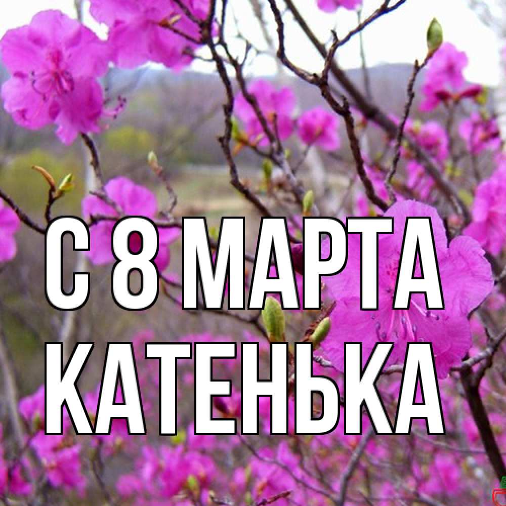 Открытка на каждый день с именем, Катенька C 8 МАРТА международный женский день Прикольная открытка с пожеланием онлайн скачать бесплатно 