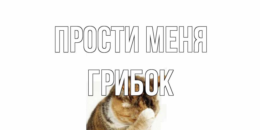 Открытка на каждый день с именем, Грибок Прости меня кот Прикольная открытка с пожеланием онлайн скачать бесплатно 