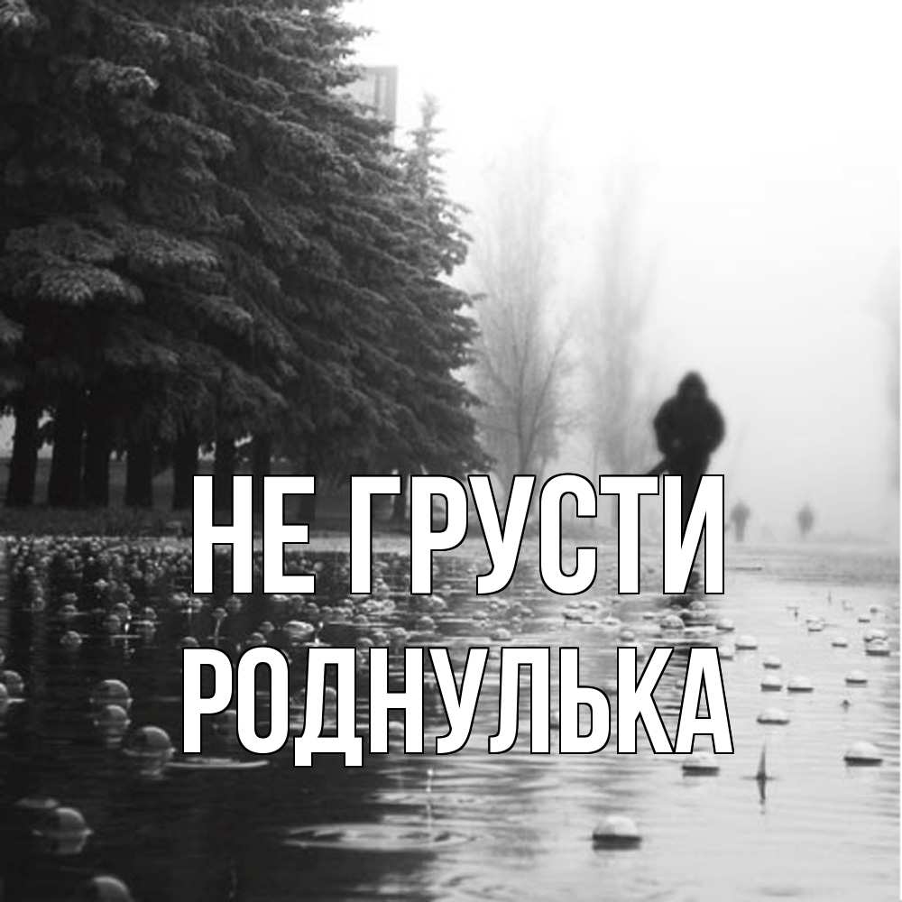 Открытка на каждый день с именем, Роднулька Не грусти улица под дождем Прикольная открытка с пожеланием онлайн скачать бесплатно 