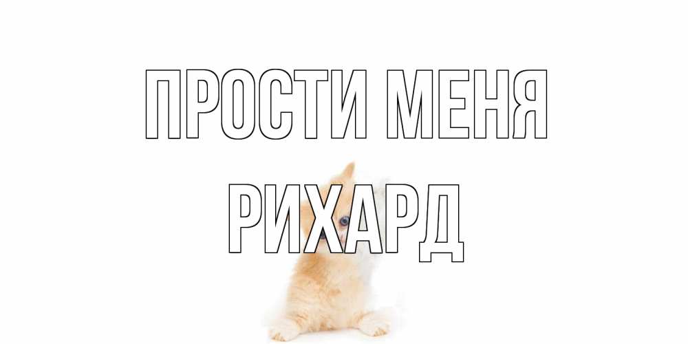 Открытка на каждый день с именем, Рихард Прости меня кот Прикольная открытка с пожеланием онлайн скачать бесплатно 
