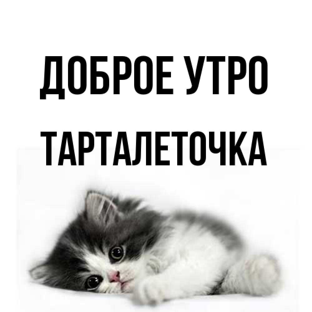 Открытка на каждый день с именем, Тарталеточка Доброе утро кот лапки Прикольная открытка с пожеланием онлайн скачать бесплатно 