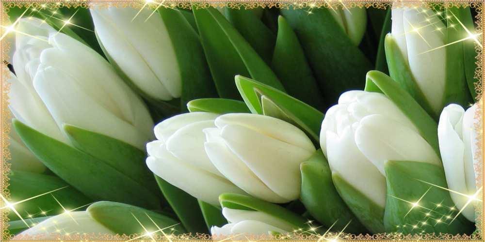 Открытка на каждый день с именем, хитрюга C 8 МАРТА поздравляем с 8 марта Прикольная открытка с пожеланием онлайн скачать бесплатно 