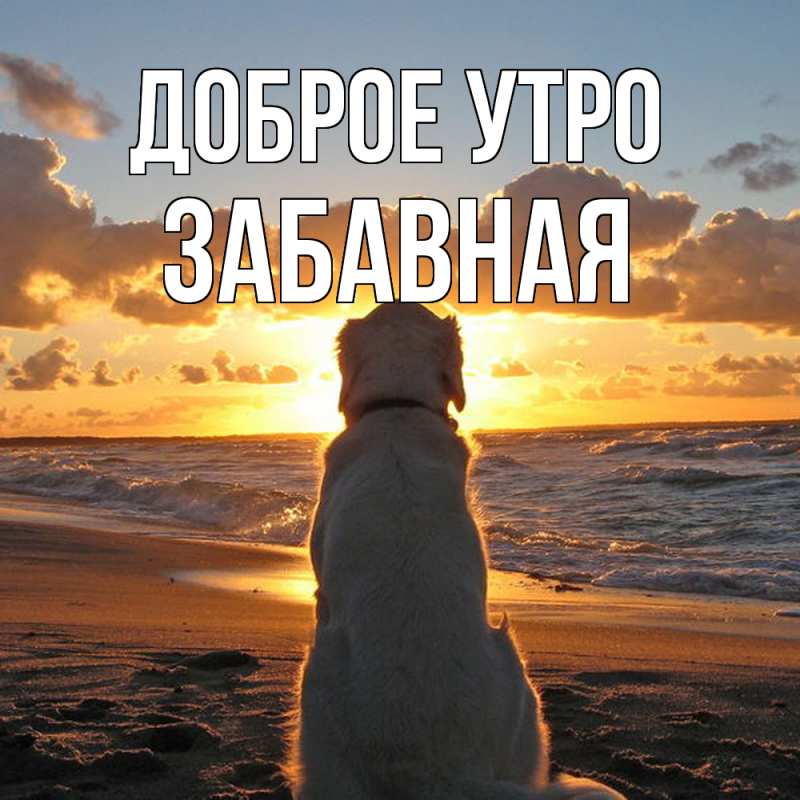 Картинка Доброе утро, забавная