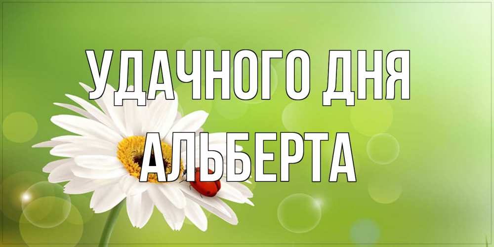 Открытка на каждый день с именем, Альберта Удачного дня зеленый фон и ромашка Прикольная открытка с пожеланием онлайн скачать бесплатно 