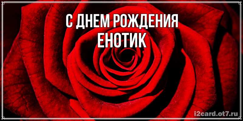 Картинка С днем рождения, Енотик