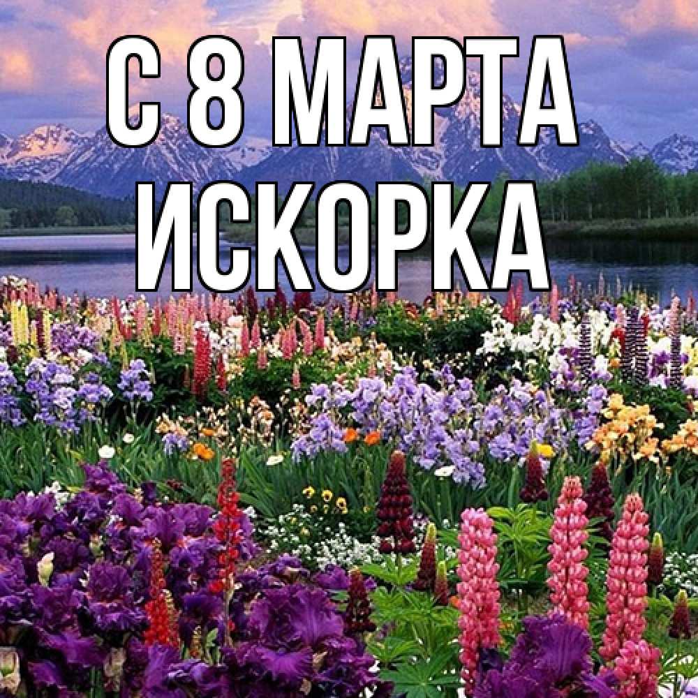 Открытка на каждый день с именем, искорка C 8 МАРТА международный женский день Прикольная открытка с пожеланием онлайн скачать бесплатно 