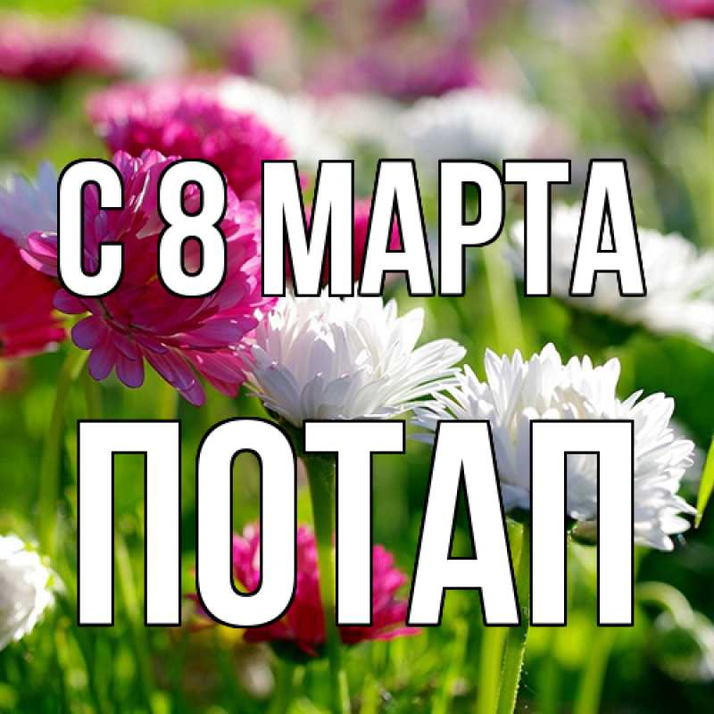 Картинка C 8 МАРТА, Потап