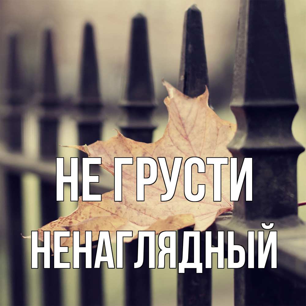 Открытка на каждый день с именем, Ненаглядный Не грусти лист клена Прикольная открытка с пожеланием онлайн скачать бесплатно 