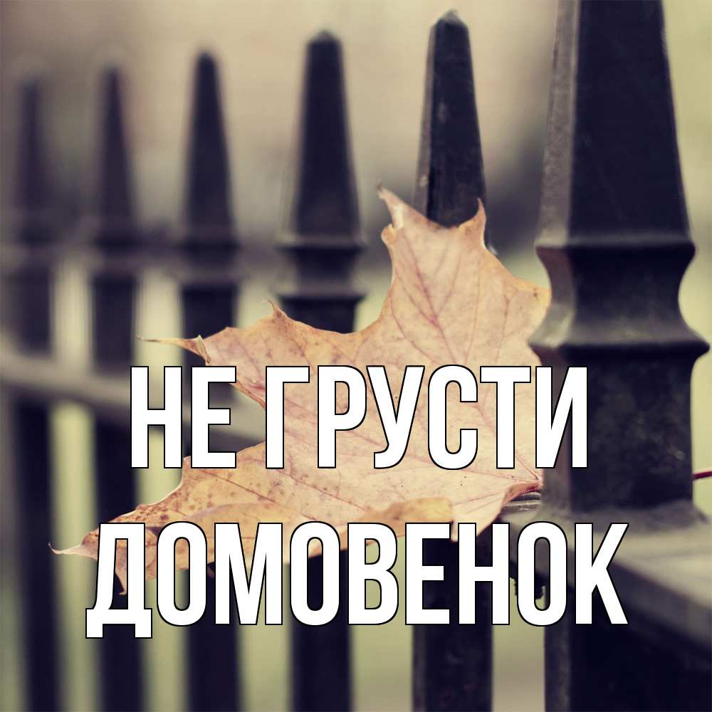 Открытка на каждый день с именем, Домовенок Не грусти лист клена Прикольная открытка с пожеланием онлайн скачать бесплатно 