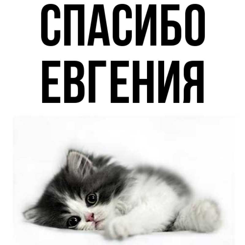 Картинка Спасибо, Евгения
