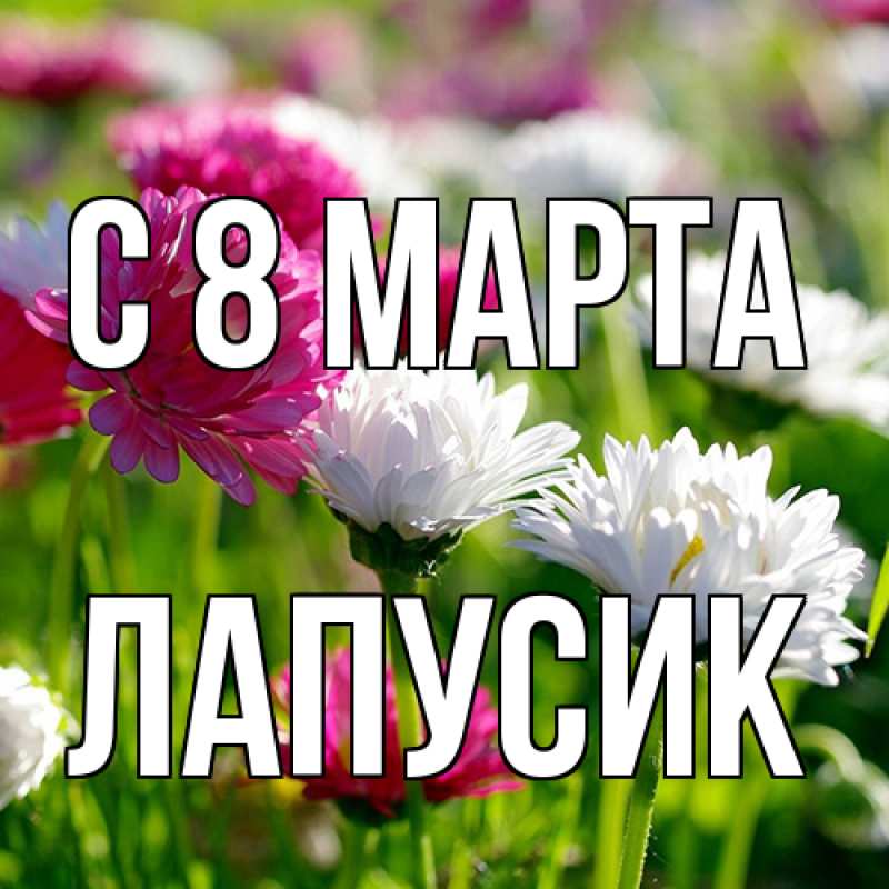 Открытка с именем, Лапусик, C 8 МАРТА