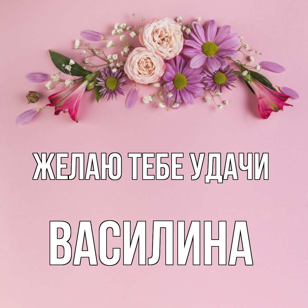 Открытка на каждый день с именем, Василина Желаю тебе удачи розовый фон Прикольная открытка с пожеланием онлайн скачать бесплатно 