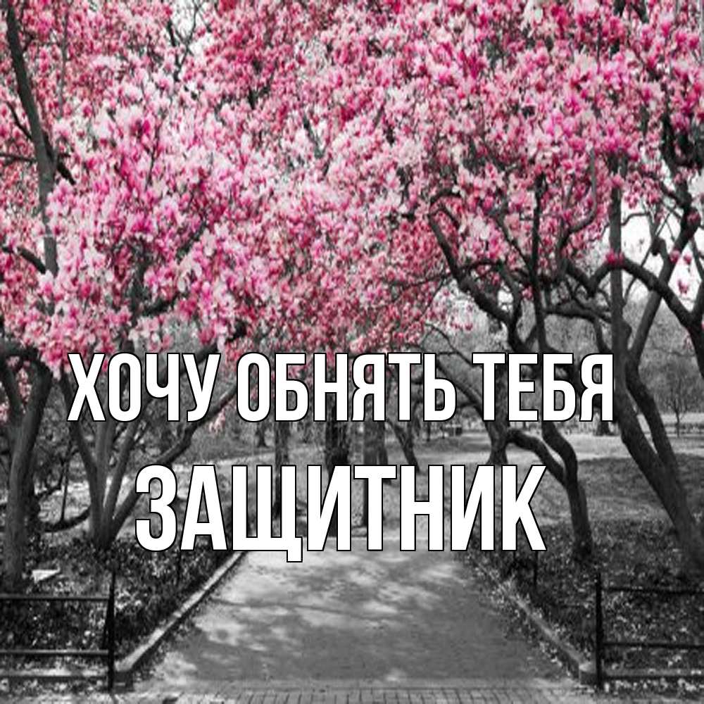 Открытка на каждый день с именем, Защитник Хочу обнять тебя обработанное фото Прикольная открытка с пожеланием онлайн скачать бесплатно 