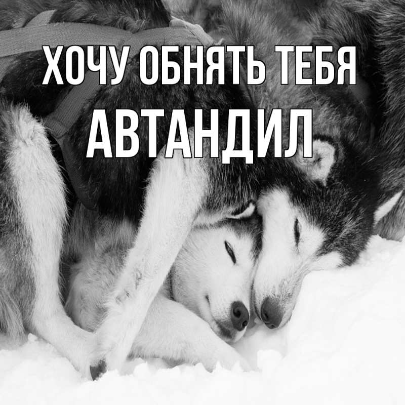 Картинка Хочу обнять тебя, Автандил