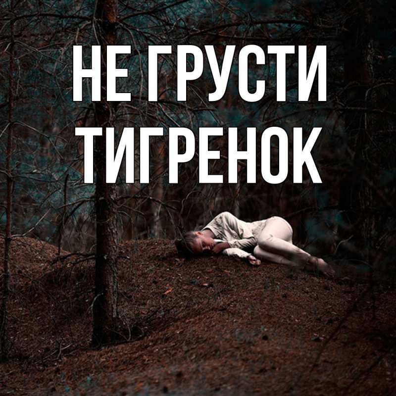 Картинка Не грусти, Тигpенок
