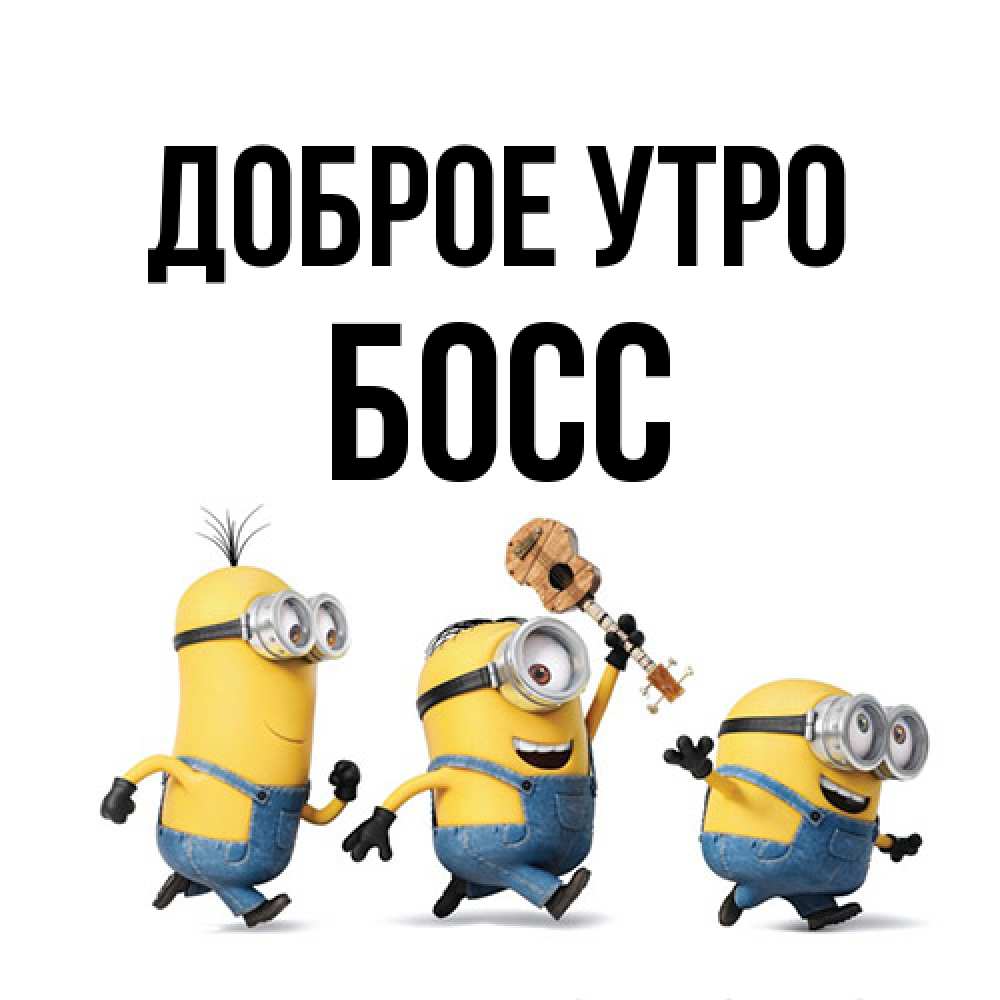 Открытка на каждый день с именем, Босс Доброе утро миньоны и прекрасное утро Прикольная открытка с пожеланием онлайн скачать бесплатно 