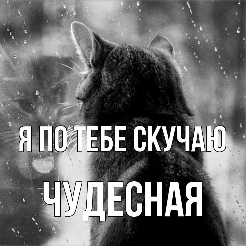 Открытка на каждый день с именем, Чудесная Я по тебе скучаю скорее ко мне приходи 1 Прикольная открытка с пожеланием онлайн скачать бесплатно 