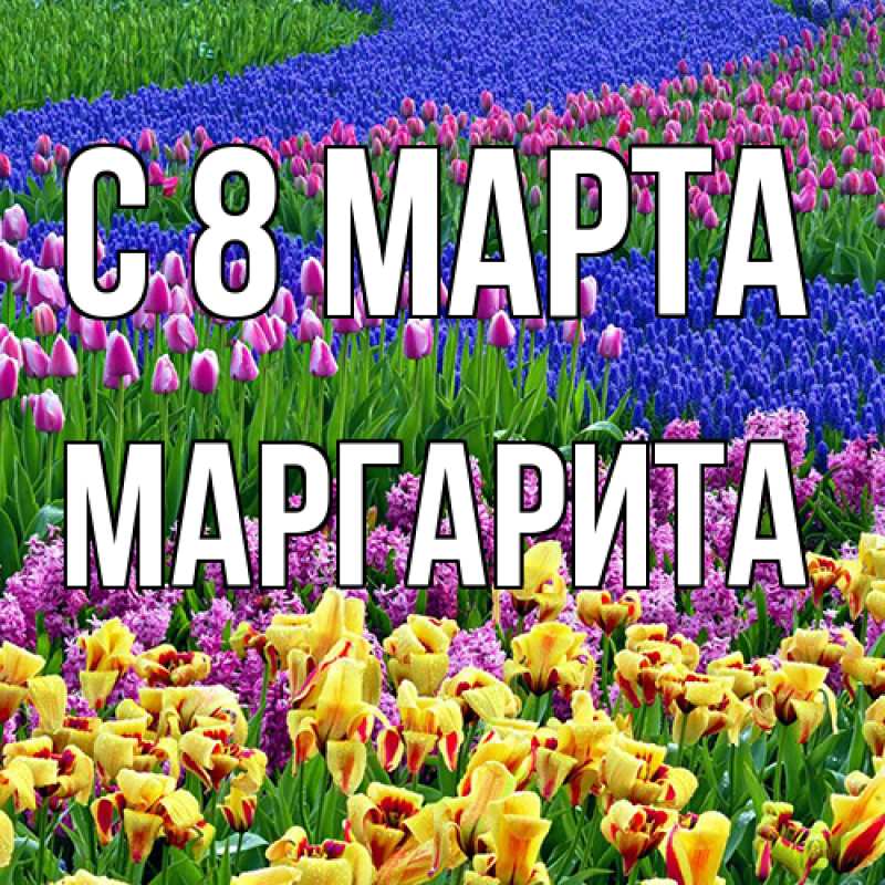 Картинка C 8 МАРТА, Маргарита