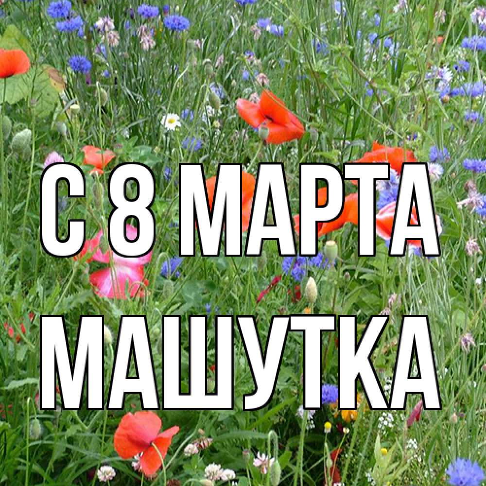 Открытка на каждый день с именем, Машутка C 8 МАРТА международный женский день 4 Прикольная открытка с пожеланием онлайн скачать бесплатно 