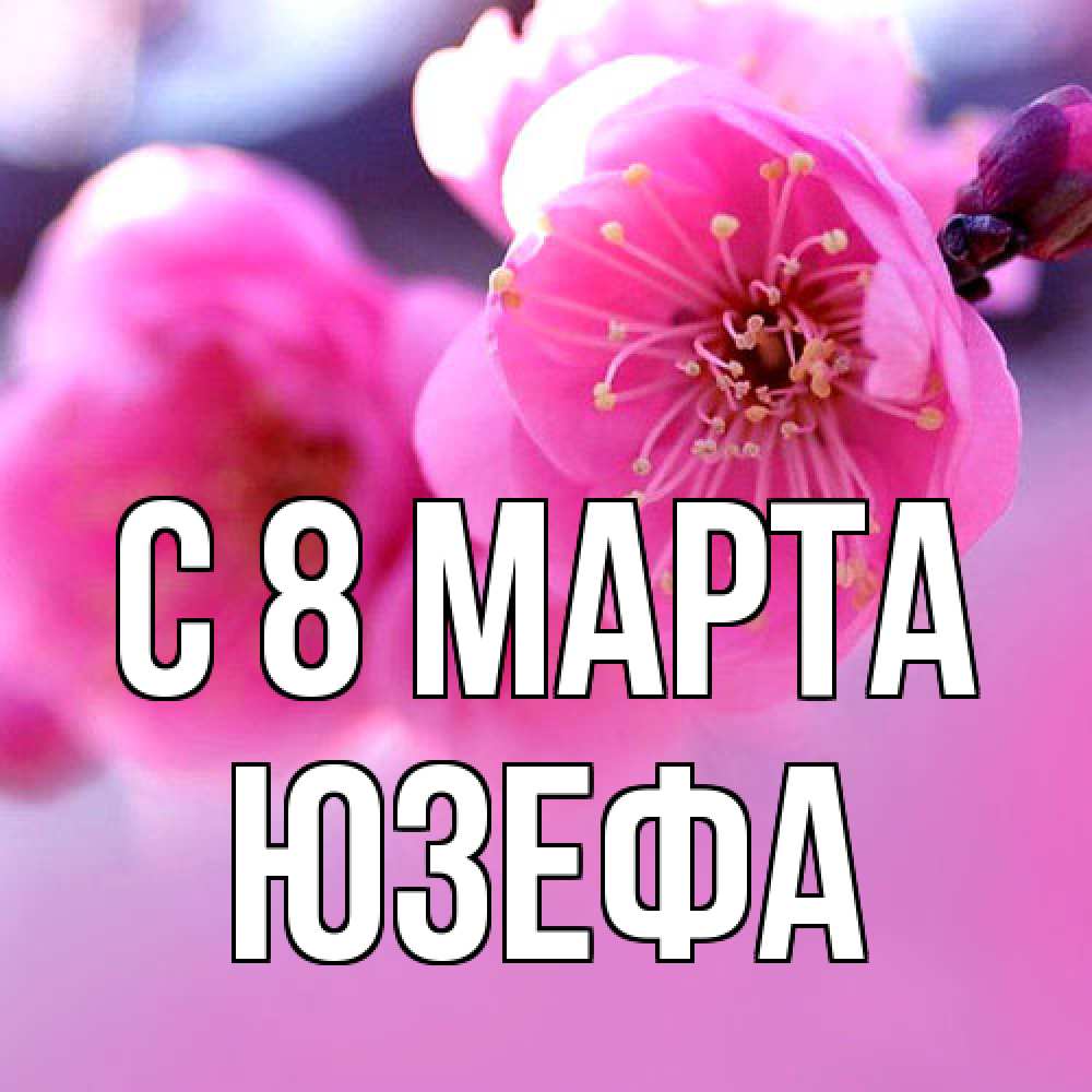 Открытка на каждый день с именем, Юзефа C 8 МАРТА международный женский день Прикольная открытка с пожеланием онлайн скачать бесплатно 