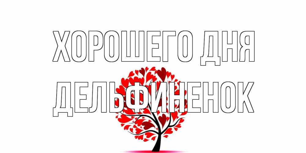 Открытка на каждый день с именем, дельфиненок Хорошего дня открытка с пожеланием хорошего дня Прикольная открытка с пожеланием онлайн скачать бесплатно 
