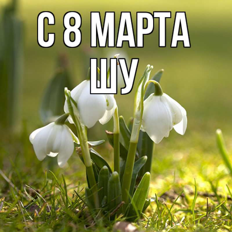 Картинка C 8 МАРТА, Шу