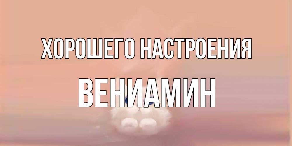 Открытка на каждый день с именем, Вениамин Хорошего настроения кошка Прикольная открытка с пожеланием онлайн скачать бесплатно 