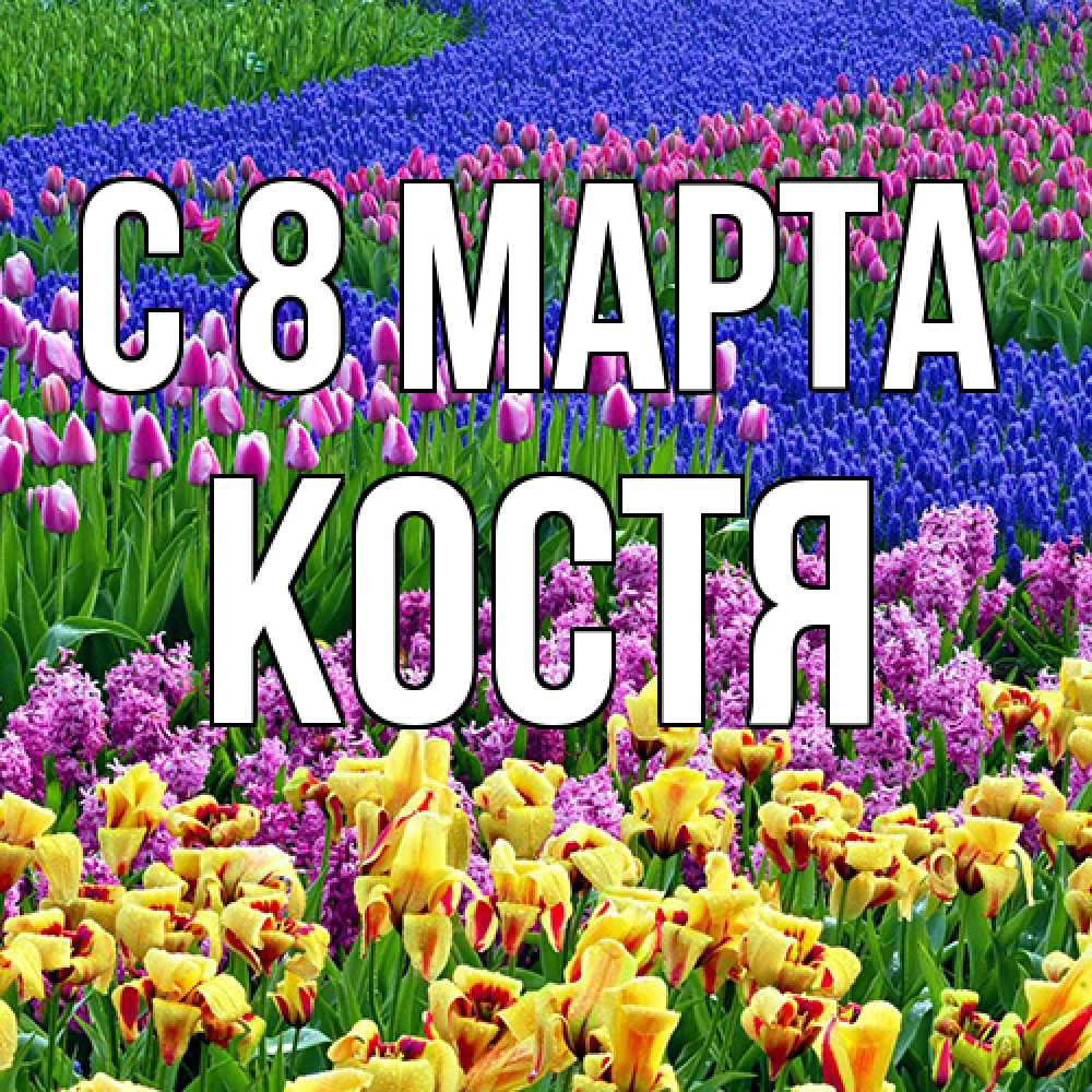 Открытка на каждый день с именем, Костя C 8 МАРТА цветы Прикольная открытка с пожеланием онлайн скачать бесплатно 
