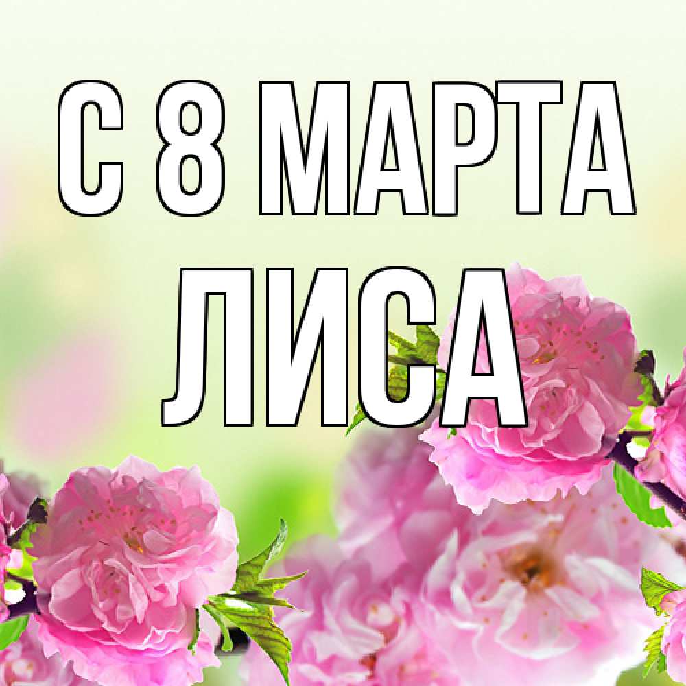 Открытка на каждый день с именем, лиса C 8 МАРТА цветы Прикольная открытка с пожеланием онлайн скачать бесплатно 