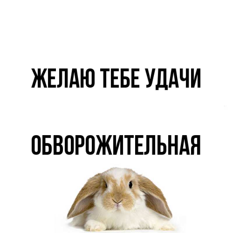 Открытка с именем, обворожительная, Желаю тебе удачи